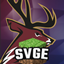 SVGE Server logo