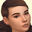 Freesia Default & Non-Default Skin logo