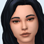 Windflower Default & Non-Default Skin logo