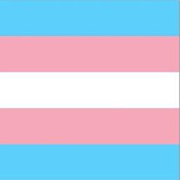 Ingame Gender Transition Mod logo