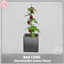 Red Chili [Harvestable Indoor Plant] logo