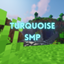 Turquoise SMP Technology-Pack logo