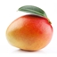 Mango's SMP logo