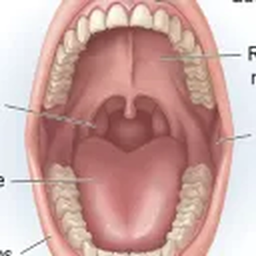 OralPack logo