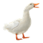 Mayacoolserver1 logo