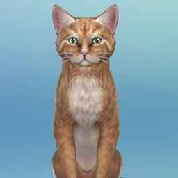 Project Simmy - Simmy