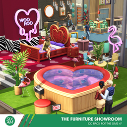 The Furniture Showroom