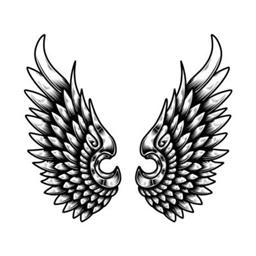 Ângelo's Enhancement logo
