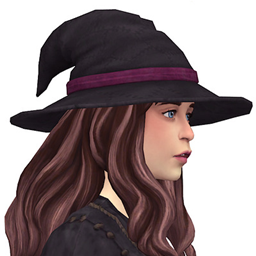 Medieval Witch Hat logo