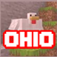 The Ohio  logo