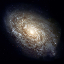 Journey to the Cosmos