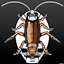 Karagrad logo