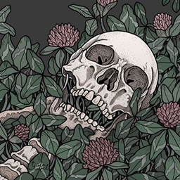 Um...Skelly Cove 2.0 logo