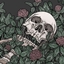 Um...Skelly Cove 2.0 logo