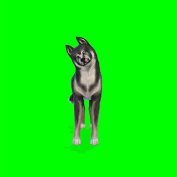 Chez Creed - CAS Green Screen project image