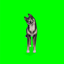 Chez Creed - CAS Green Screen logo