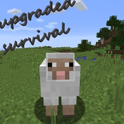 nicer survival
