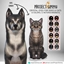 Project Simmy - Crystal Eyes for Dogs & Cats logo