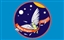 Ikarus Space Program logo
