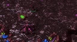 Heart of the Swarm Mission 1: Char