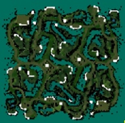 Emerald Dream