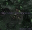 Future Survival 2 logo