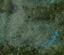 Monsoon logo