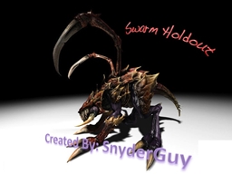 Swarm Holdout logo
