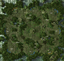 Guardian's Grove