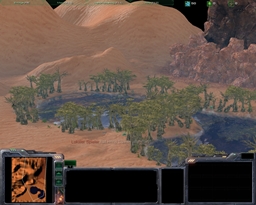 LittleOasis