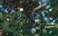 Conflict: South-East Asia