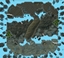Hostile Takeover logo