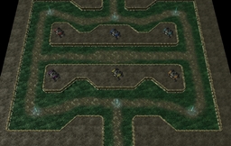 Aiurmaul Wars