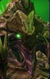 Brood mother