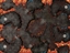 Battle.net Scorched Haven (2V2) logo