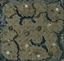 Battle.net Arid Wastes (2V2) logo