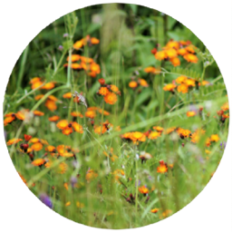 Farm Rugs logo