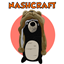 Nashcraft logo