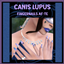Canis Lupus Fingernails AF-TE logo