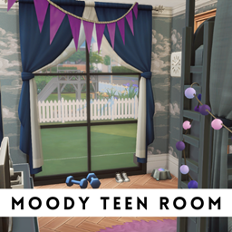 Moody Teen Room