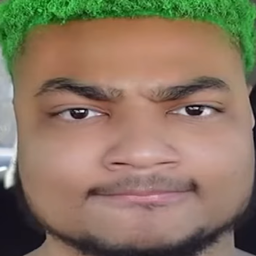 I LOOK LIKE A DIRT BLOCK?! project image