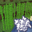 Bonemeal Sugarcane logo