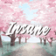 InsaneSMP logo