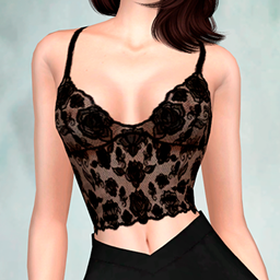 Collection Lace Bustier top and acc  project image