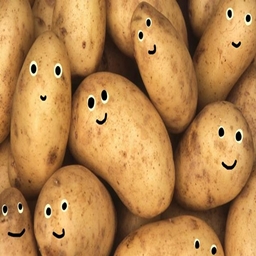 Potato Origins SMP