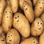 Potato Origins SMP logo