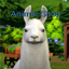 Animal Shop logo