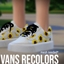 Skate Shoes Recolor logo