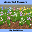Assorted Colorful Flowers logo