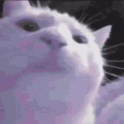 Cat Jammies [Fabric] - Minecraft Mods - CurseForge